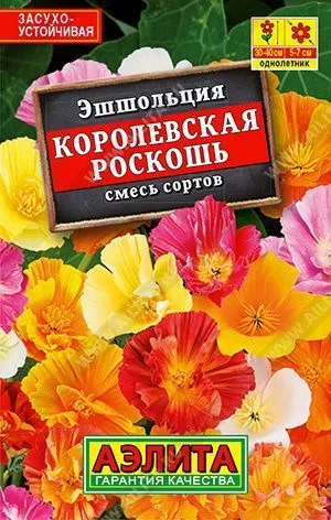 Эшшольция. Сорт Королевская Роскошь